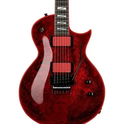 ESP Gary Holt Signature EC Electric Guitar