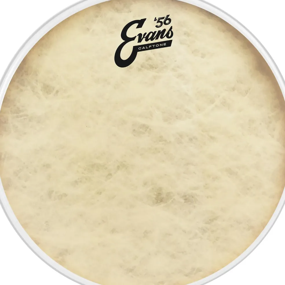 Evans Calftone Drum Head 16 in.
