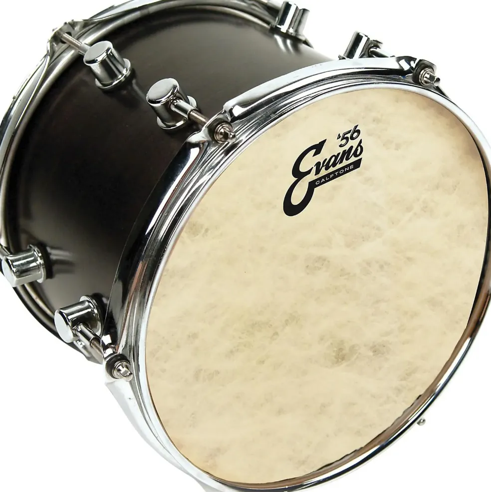 Evans Calftone Drum Head 16 in.
