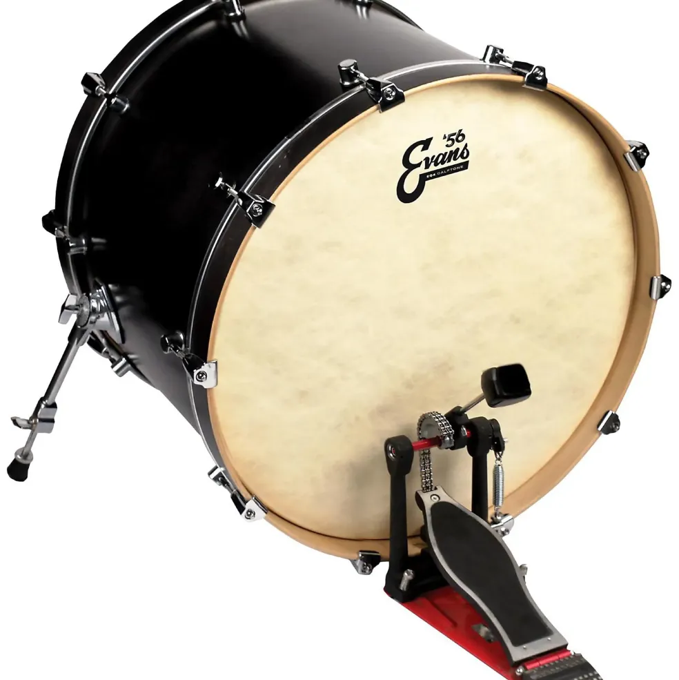 Evans EQ4 Calftone Bass Drum Head 16 in.