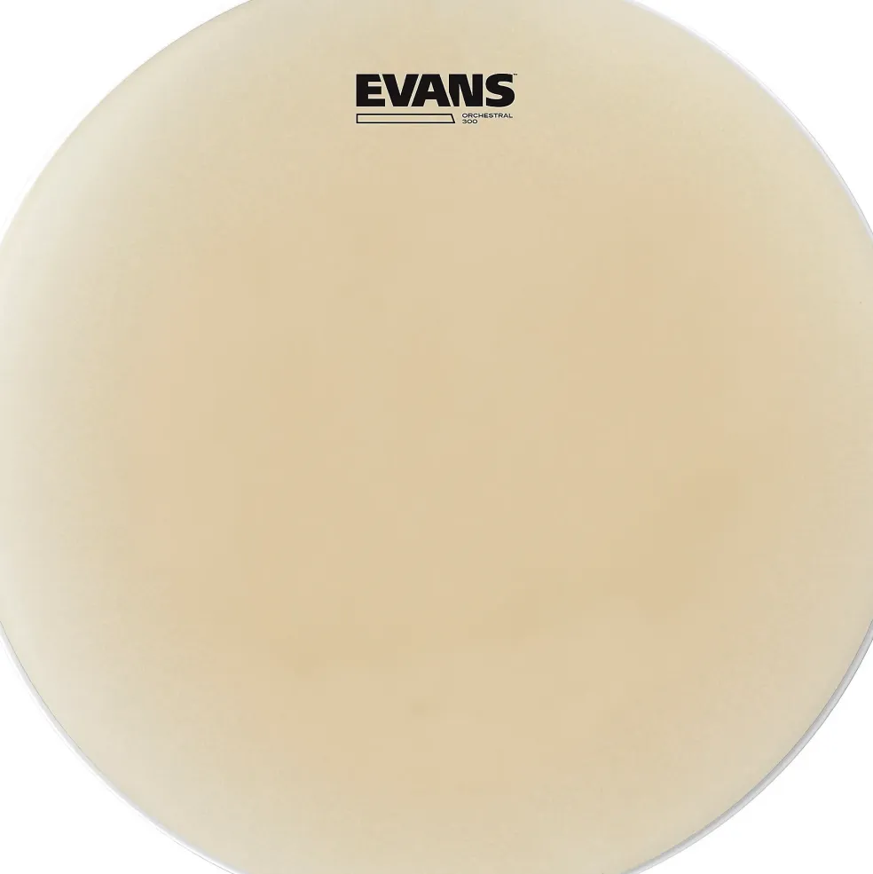 Evans Genera Orchestral 300 Snare Side Head 14 in.