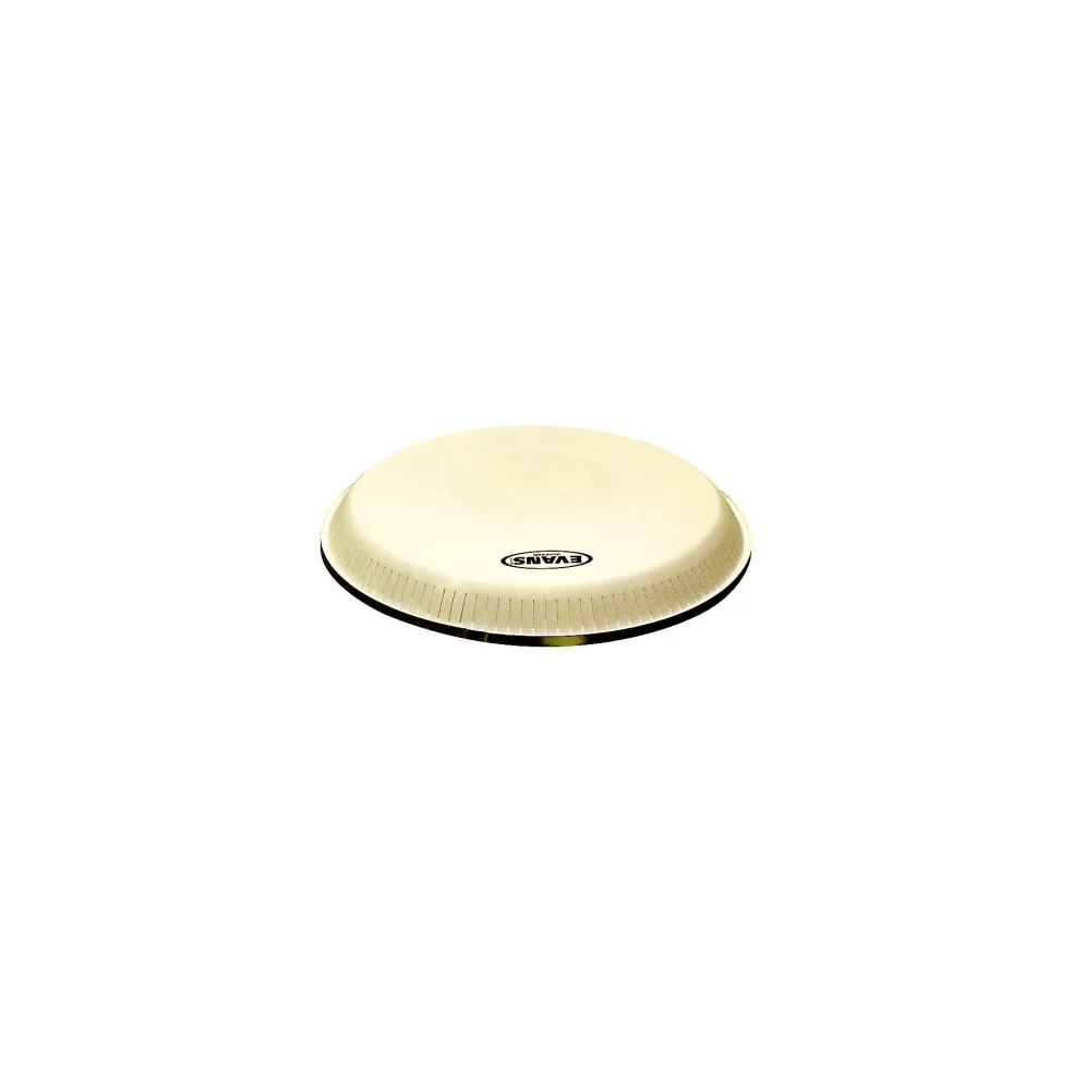 Evans Toca and LP Standard Replacement Conga Head 12.5 in.