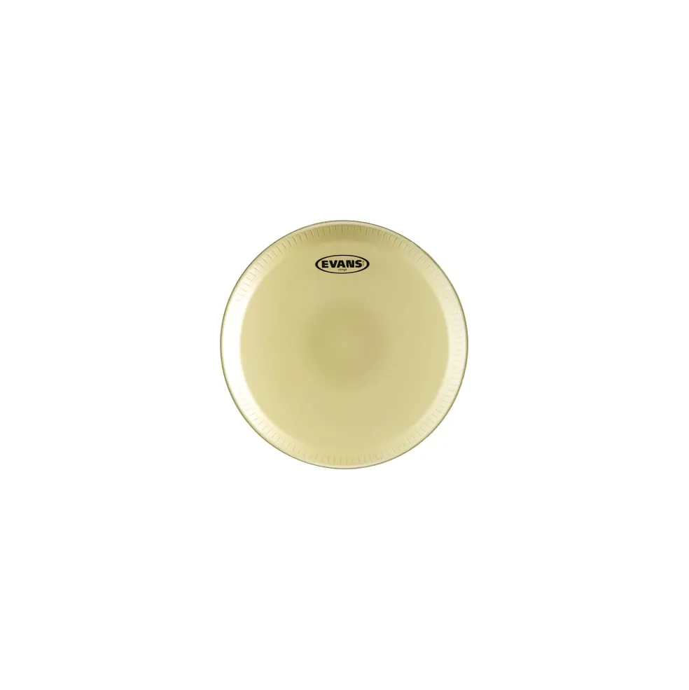 Evans Toca and LP Standard Replacement Conga Head 12.5 in.