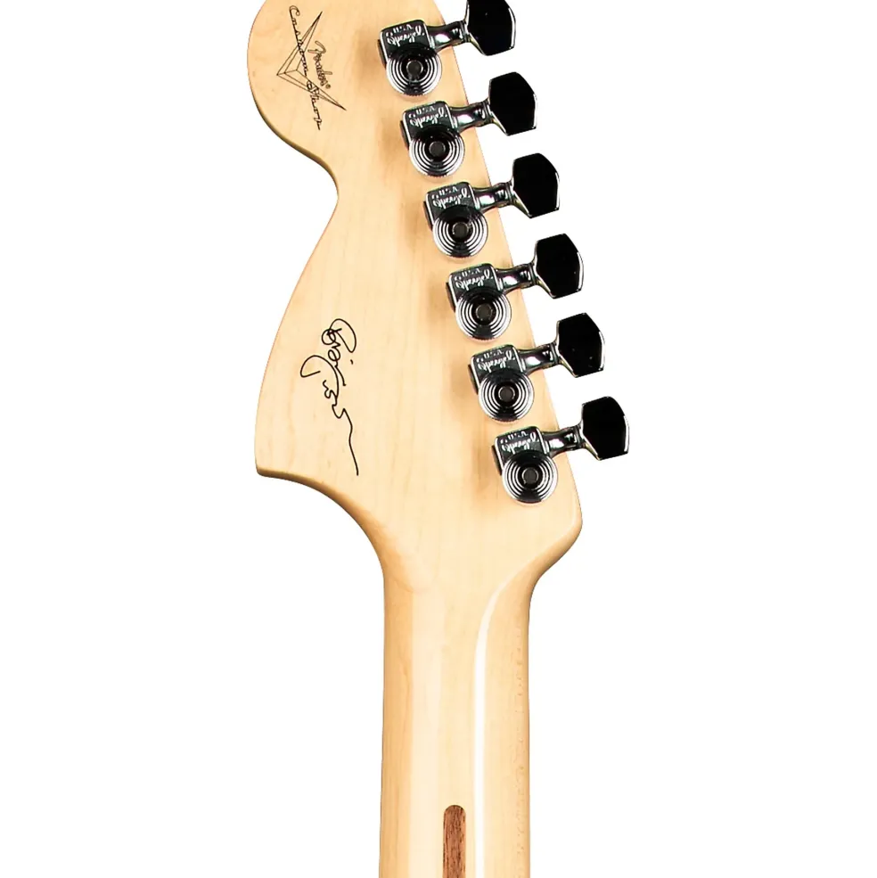 Fender Custom Shop Robin Trower Signature Stratocaster NOS Electric Guitar Black