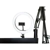 Gator Frameworks ID Series Creator Tree Ring Light Fixture