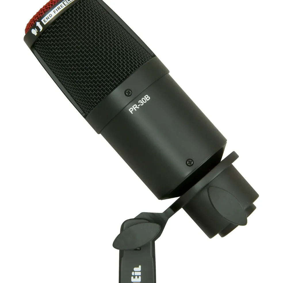Heil Sound PR 30B Large-Diaphragm Dynamic Microphone Black