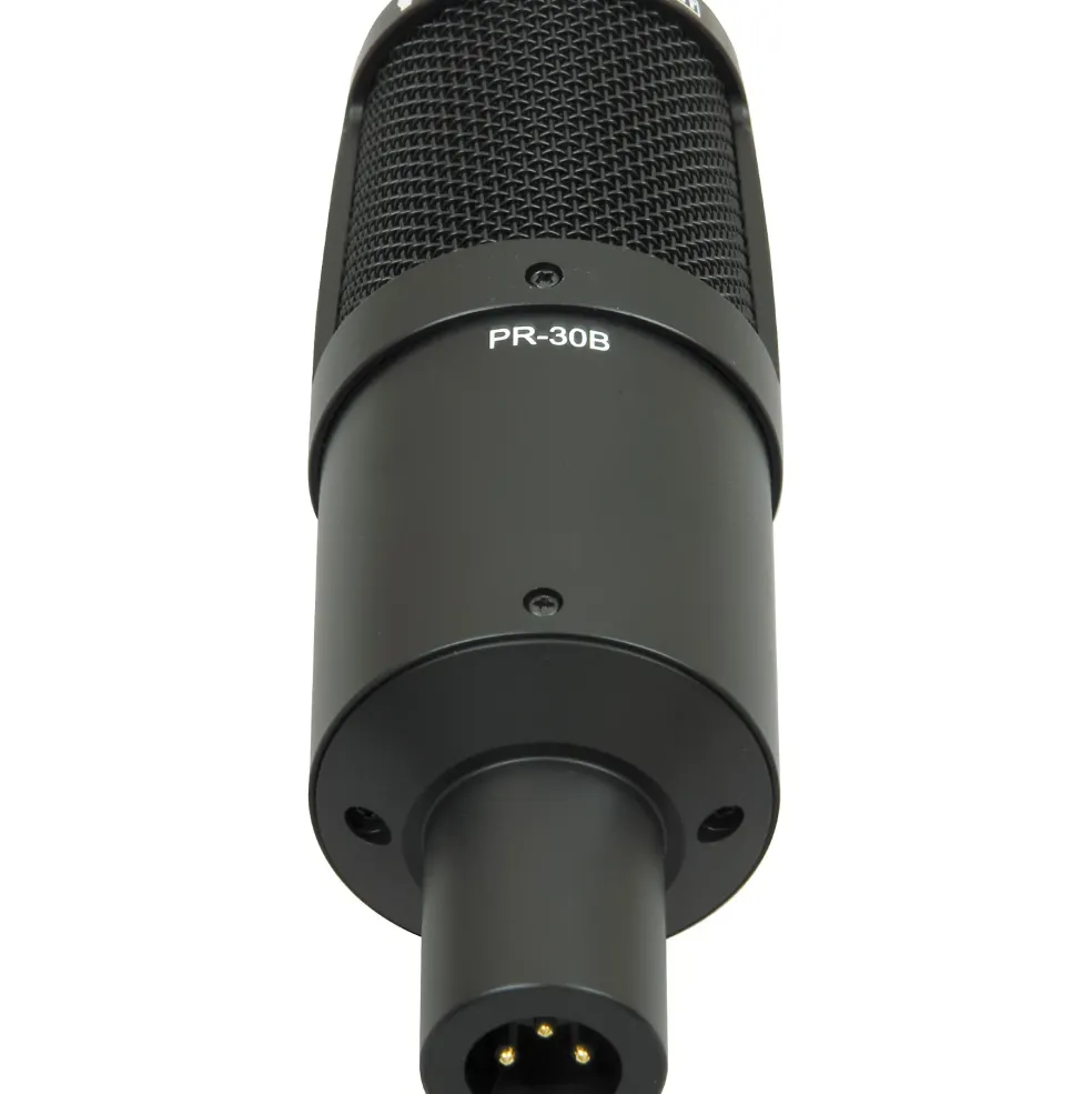 Heil Sound PR 30B Large-Diaphragm Dynamic Microphone Black