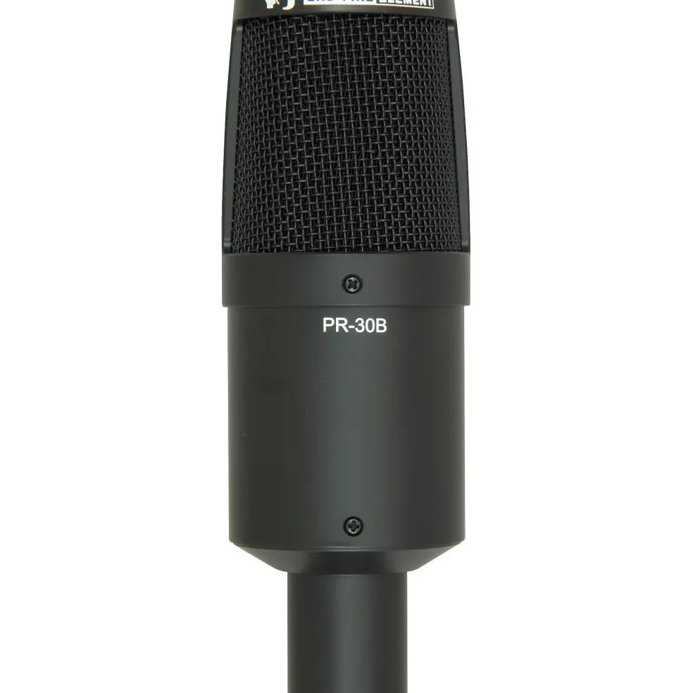 Heil Sound PR 30B Large-Diaphragm Dynamic Microphone Black