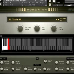 Impact Soundworks Momentum (Download)