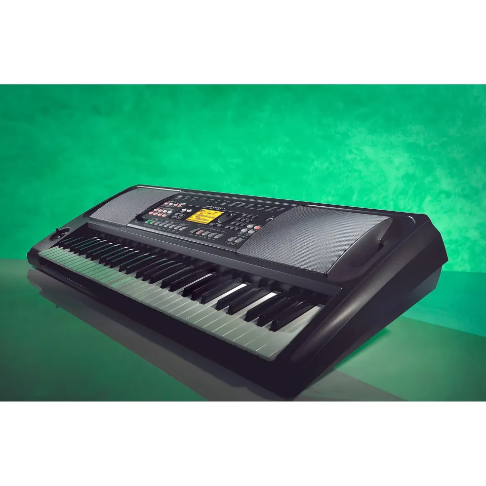 KORG EK-50 CSA 61-Key Arranger Keyboard