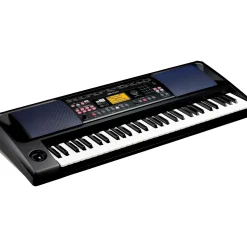 KORG EK-50 U 61-Key Arranger Keyboard