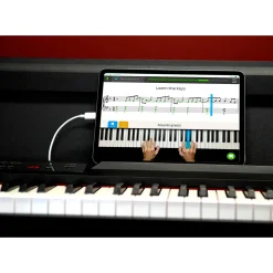 KORG LP-380 Home Digital Piano Black