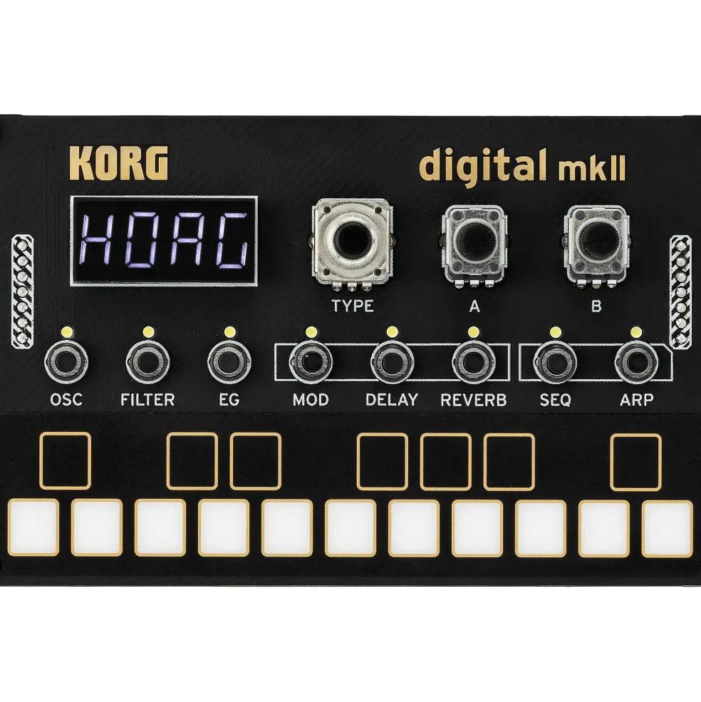 KORG NTS-1 MK2 DIY Multi Synth