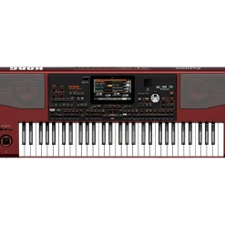 KORG Pa1000 61-Key Professional Arranger