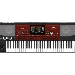 KORG Pa700 ORIENTAL 61-Key Arranger Workstation Black