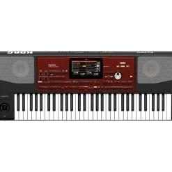 KORG Pa700 Professional Arranger 61-Key With Touchscreen and Speakers Black