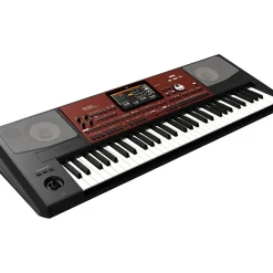 KORG Pa700 Professional Arranger 61-Key With Touchscreen and Speakers Black
