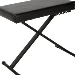 KORG Pa5X 61 Key Arranger with Stand, Pedal, Bench, Headphones, Microphone and Cables