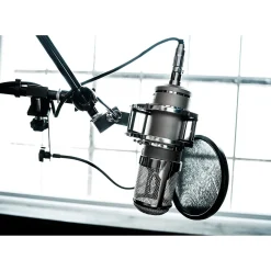 Lauten Audio Eden LT-386 Multi-Voicing Large-Diaphragm Vacuum Tube Condenser Microphone