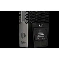 LEWITT RAY Large-Diaphragm Condenser Microphone Black