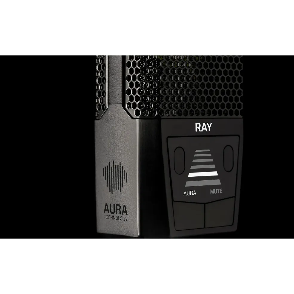 LEWITT RAY Large-Diaphragm Condenser Microphone Black