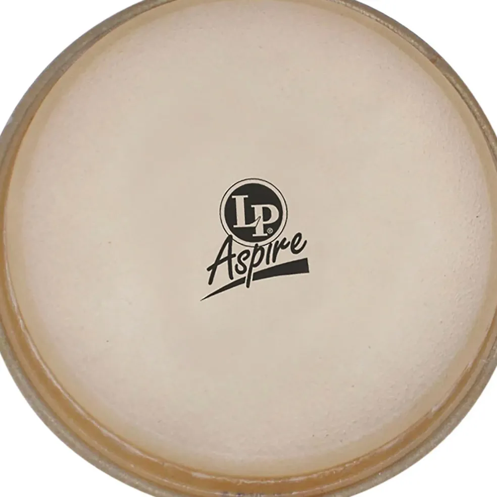 LP 11" Aspire Conga Head