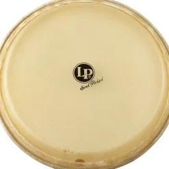 LP Conga Head 11 in.