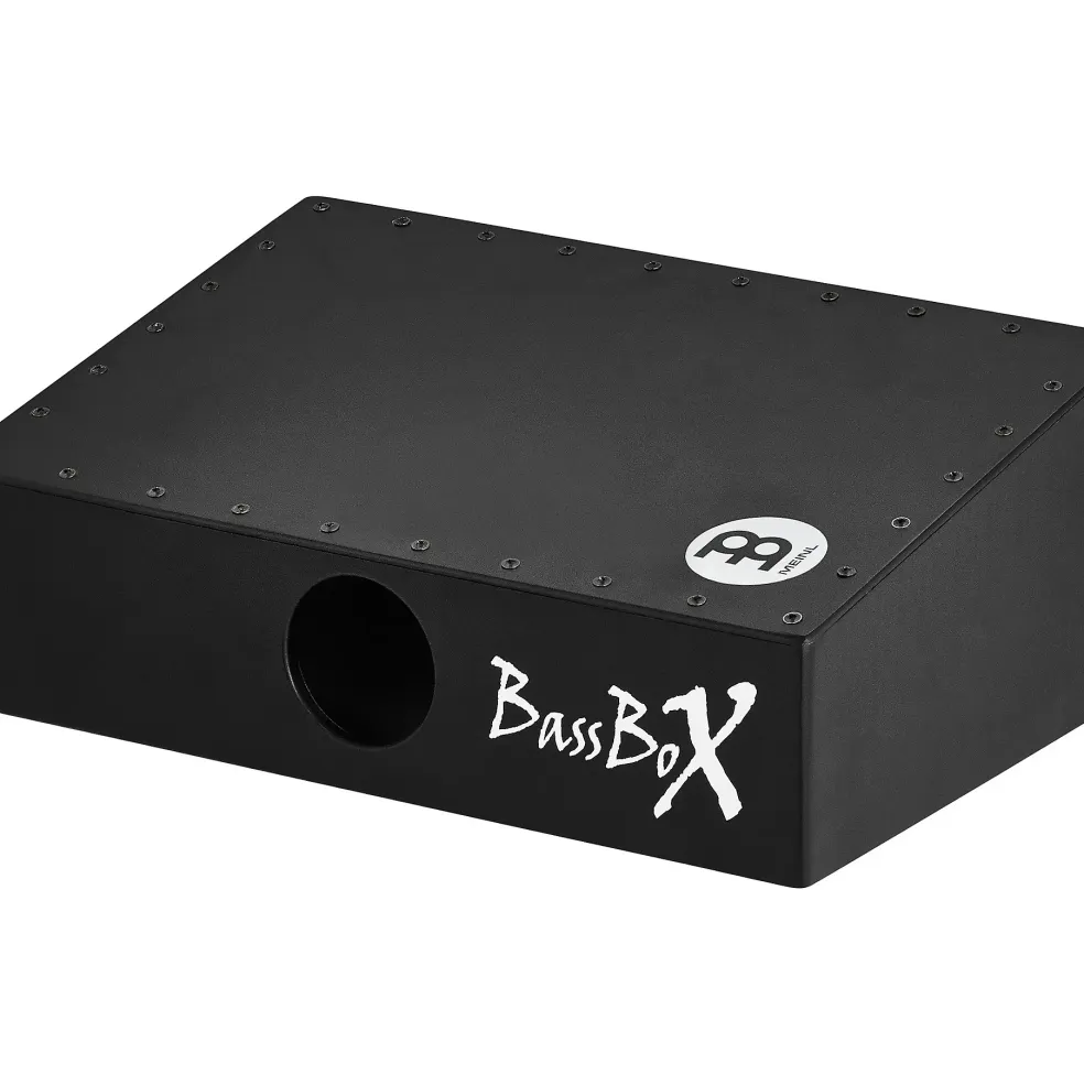 MEINL Pickup BassBoX