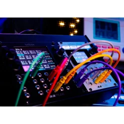 1010music Bitbox mk2 Eurorack Performance Sampler with Touchscreen - Black