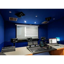 Neumann KH 810 10-inch Powered Studio Subwoofer (Each)