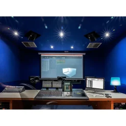 Neumann KH 810 10-inch Powered Studio Subwoofer (Each)