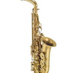 P. Mauriat PMXA-67R Series Professional Alto Saxophone Unlacquered