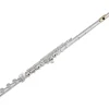 Pearl Flutes 695 Dolce Vigore Professional Series Open Hole Flute B Foot, Split E, C# Trill, D# Roller