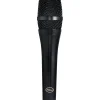 Peluso Microphone Lab PS-1 Large Diaphragm Condenser Stage Microphone Kit Black