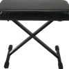 Proline PL1250 Keyboard Bench With Memory Foam