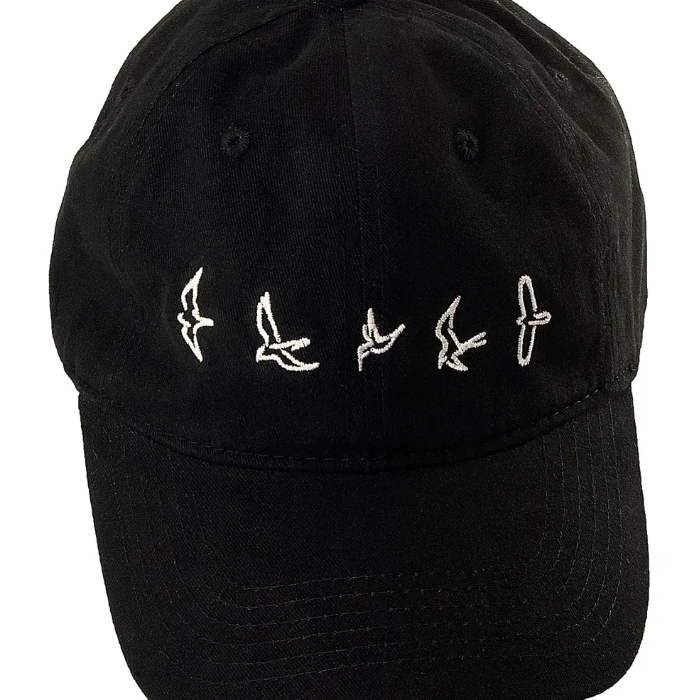 PRS Birds Logo Baseball Hat