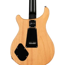 PRS DW CE24 24 Floyd Electric Guitar Black