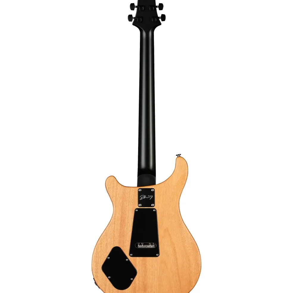 PRS DW CE24 24 Floyd Electric Guitar Black