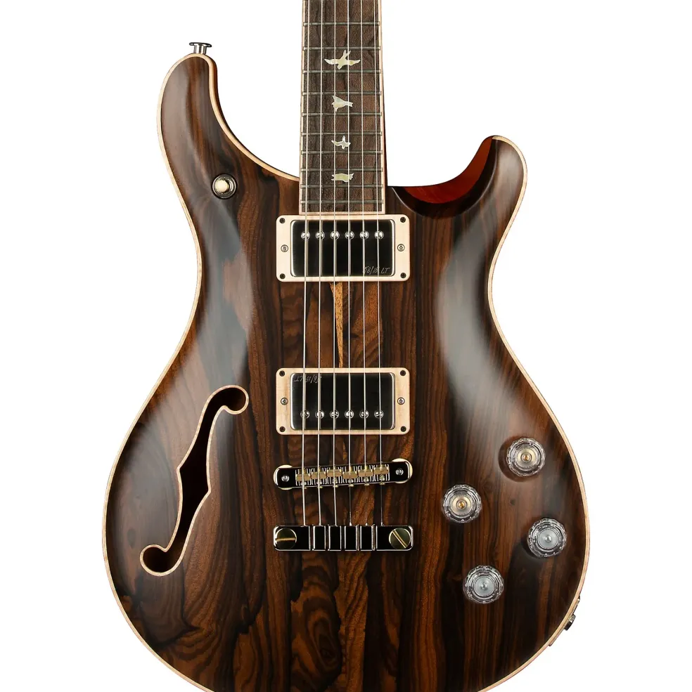 PRS Private Stock McCarty 594 Semi-Hollow Electric Guitar Ziricote