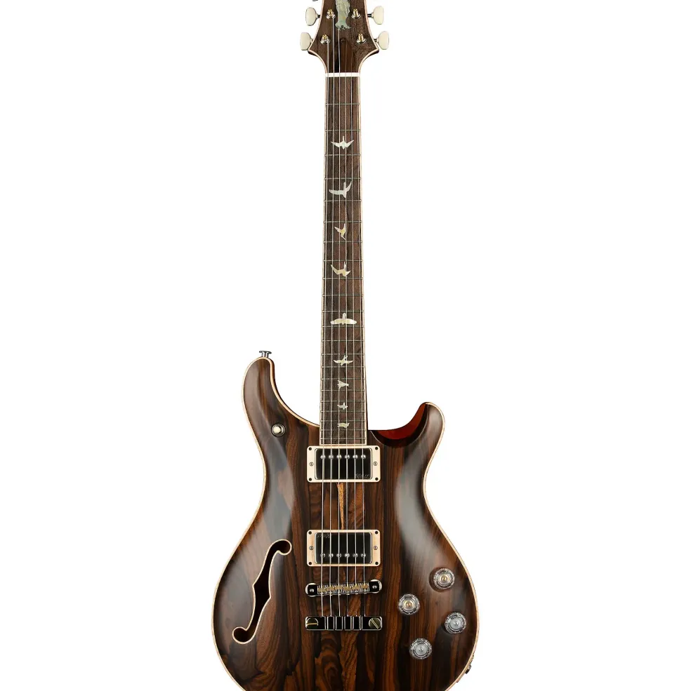 PRS Private Stock McCarty 594 Semi-Hollow Electric Guitar Ziricote