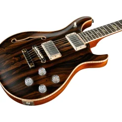 PRS Private Stock McCarty 594 Semi-Hollow Electric Guitar Ziricote