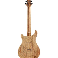 PRS Private Stock Modern Eagle V Curly Maple Top & Ebony Fretboard with Pattern Neck Electric Guitar Laguna Dragon's Breath
