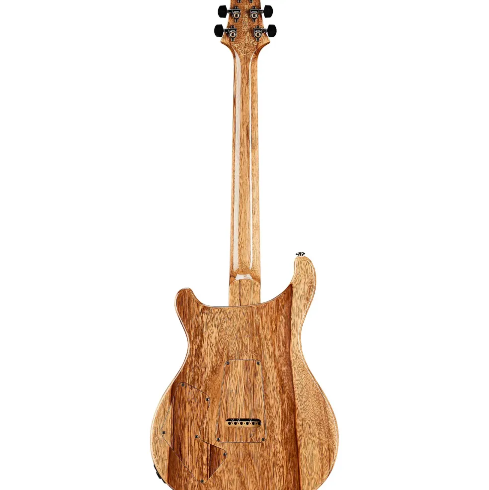 PRS Private Stock Modern Eagle V Curly Maple Top & Ebony Fretboard with Pattern Neck Electric Guitar Laguna Dragon's Breath