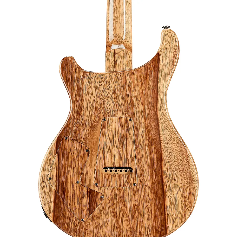 PRS Private Stock Modern Eagle V Curly Maple Top & Ebony Fretboard with Pattern Neck Electric Guitar Laguna Dragon's Breath
