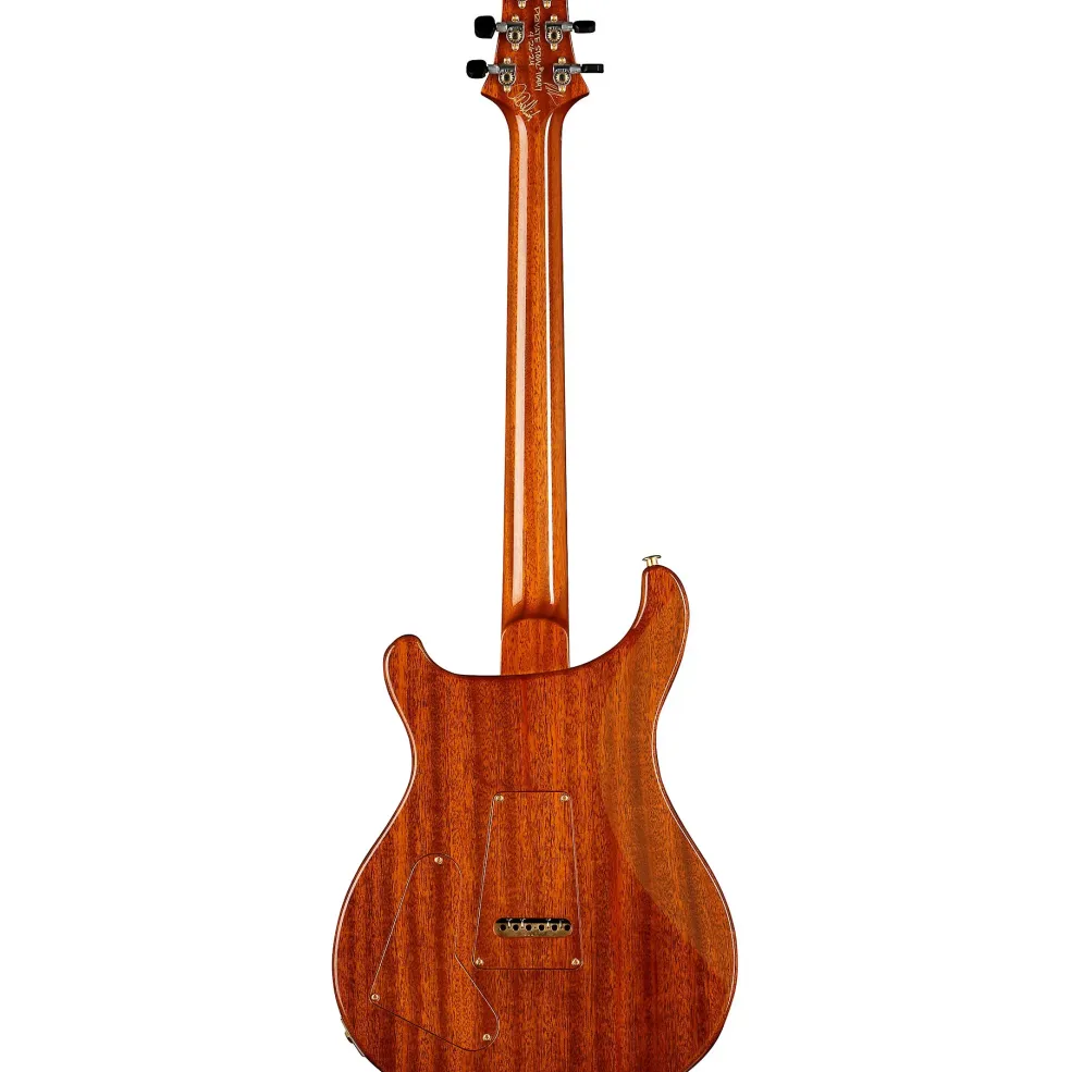 PRS Private Stock Special Semi-Hollow Electric Guitar Natural