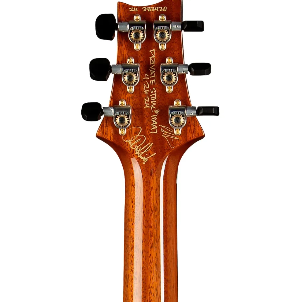 PRS Private Stock Special Semi-Hollow Electric Guitar Natural