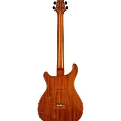 PRS Private Stock Special Semi-Hollow Electric Guitar Natural