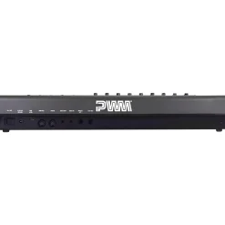 PWM Instruments Malevolent Semi-Modular Analog Synthesizer Black
