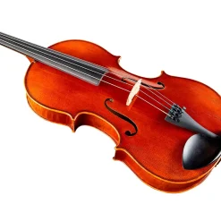 Ren Wei Shi Academy II Series Violin Outfit 1/4