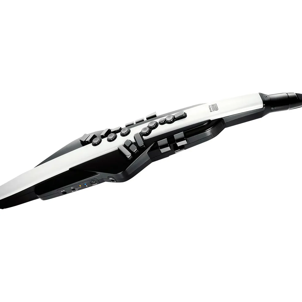 Roland Aerophone AE-20 Digital Wind Instrument